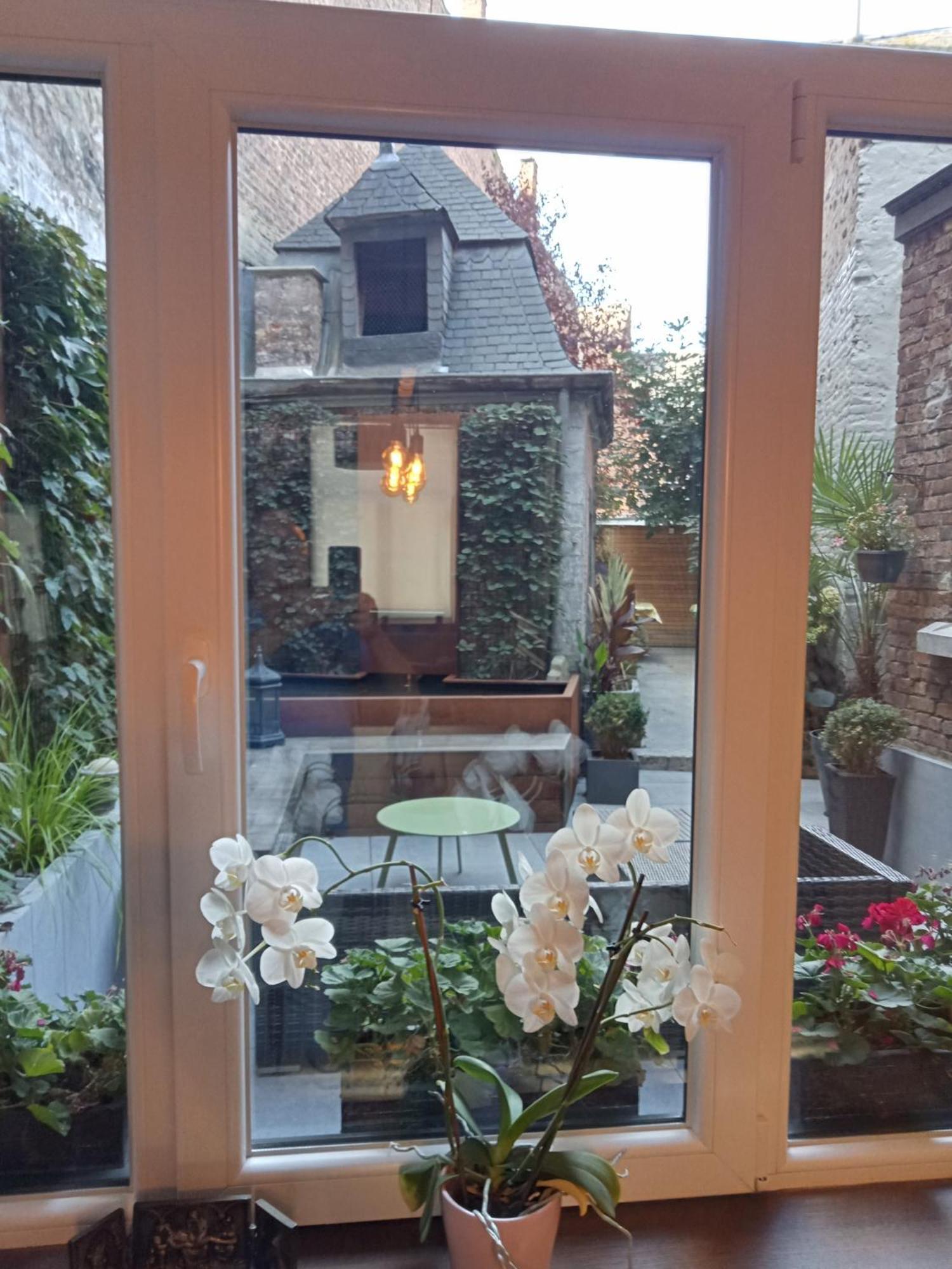Couque Cuivree II Bed and Breakfast Dinant Exteriör bild